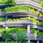 Smart Cities: Living Green in the Urban Jungle