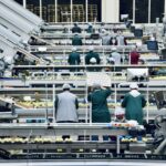 Automation in the Job Market: What to Expect